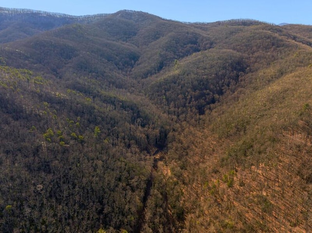 3820 Woody Rd, Hartford, TN 37753
