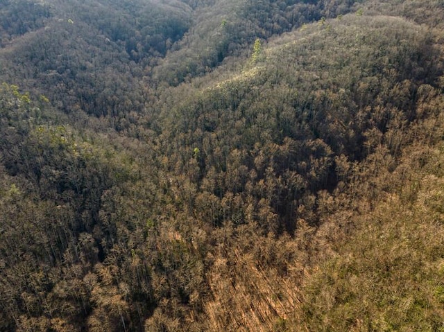 3820 Woody Rd, Hartford, TN 37753