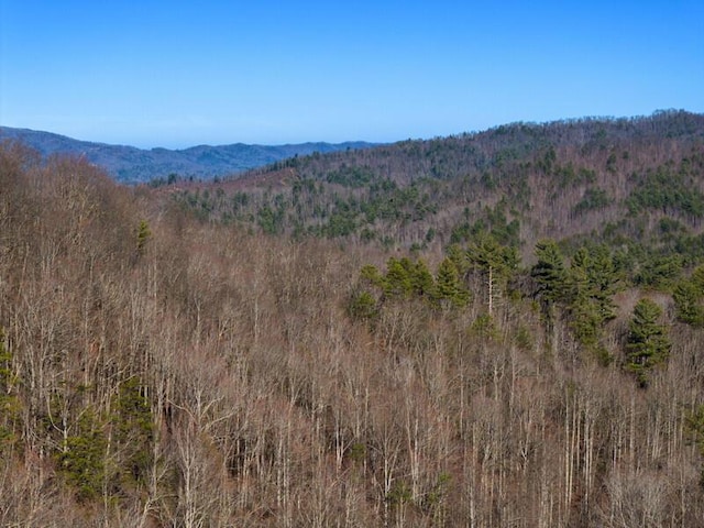 3820 Woody Rd, Hartford, TN 37753
