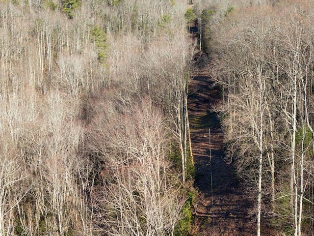3820 Woody Rd, Hartford, TN 37753