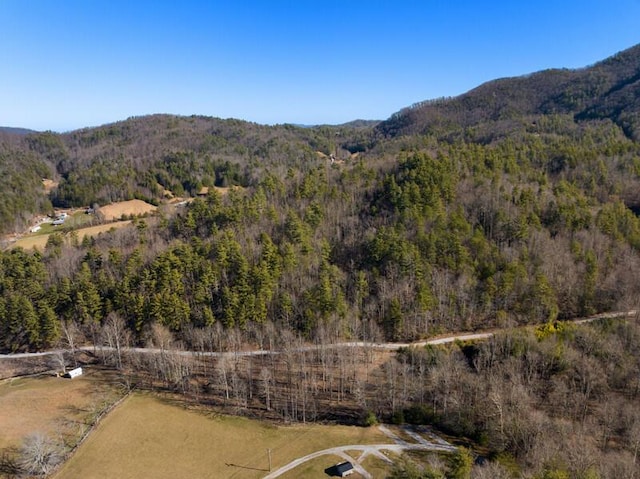 3820 Woody Rd, Hartford, TN 37753