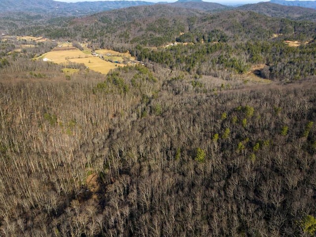3820 Woody Rd, Hartford, TN 37753