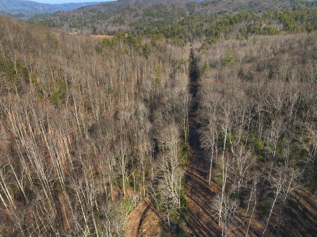 3820 Woody Rd, Hartford, TN 37753
