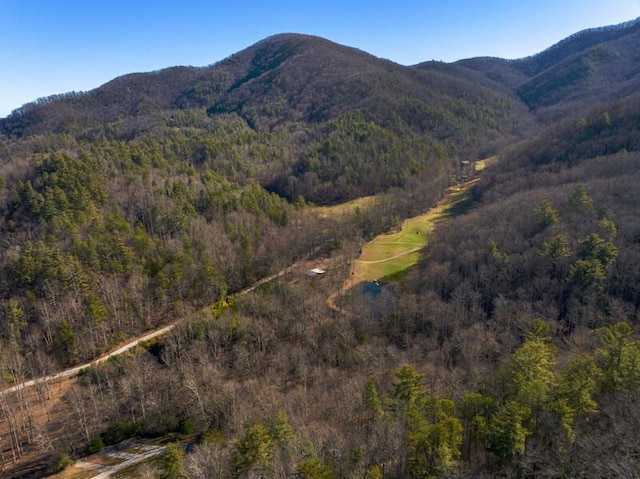 3820 Woody Rd, Hartford, TN 37753