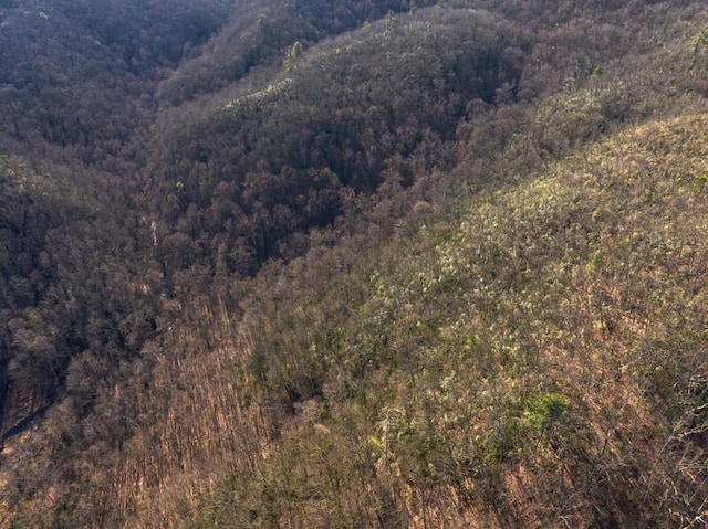 3820 Woody Rd, Hartford, TN 37753