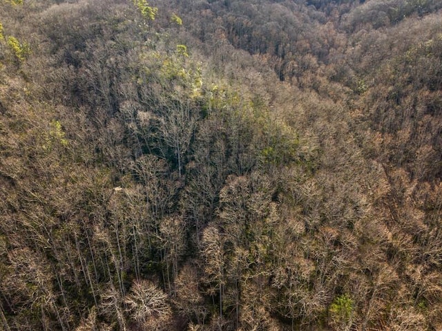 3820 Woody Rd, Hartford, TN 37753