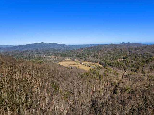 3820 Woody Rd, Hartford, TN 37753