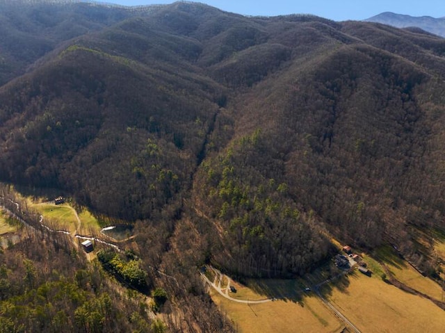 3820 Woody Rd, Hartford, TN 37753