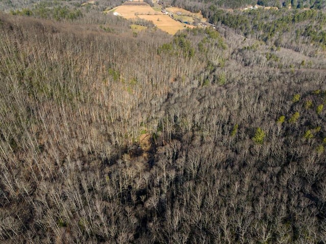 3820 Woody Rd, Hartford, TN 37753