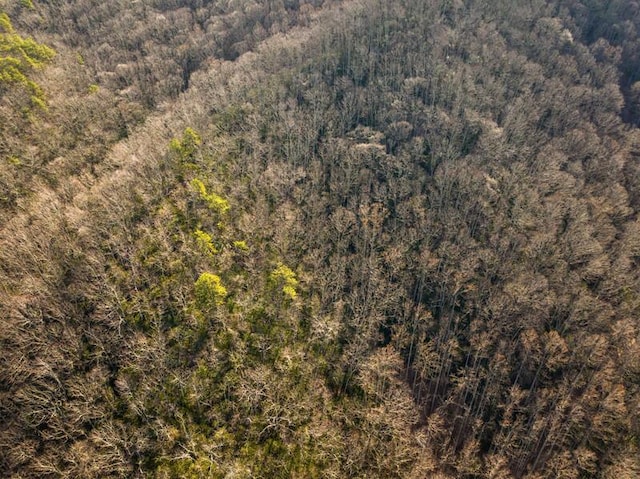 3820 Woody Rd, Hartford, TN 37753