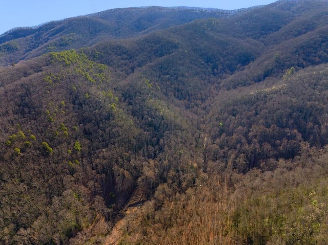 3820 Woody Rd, Hartford, TN 37753