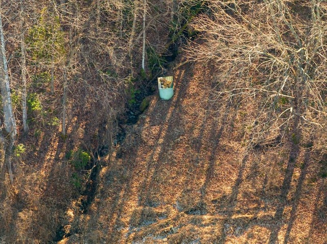 3820 Woody Rd, Hartford, TN 37753