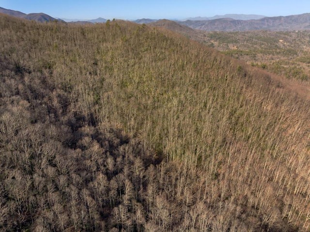 3820 Woody Rd, Hartford, TN 37753