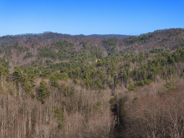 3820 Woody Rd, Hartford, TN 37753