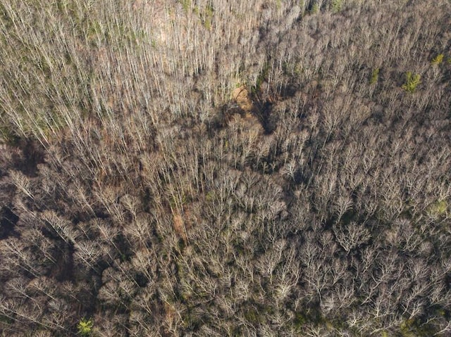 3820 Woody Rd, Hartford, TN 37753