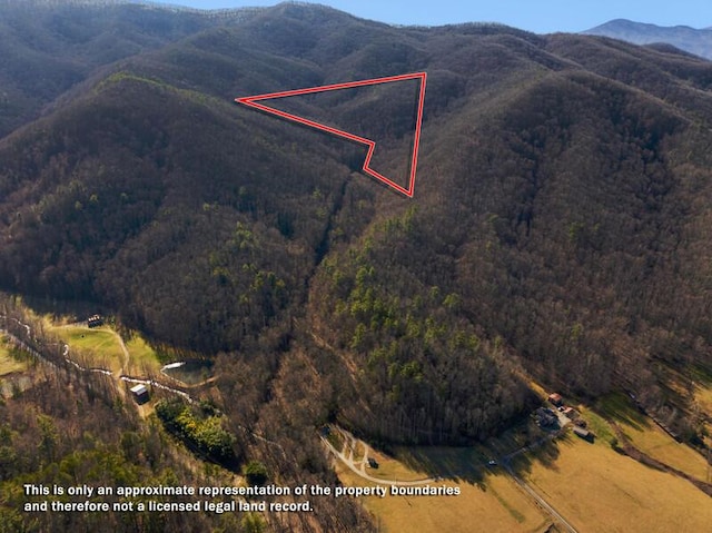 3820 Woody Rd, Hartford TN, 37753 land for sale