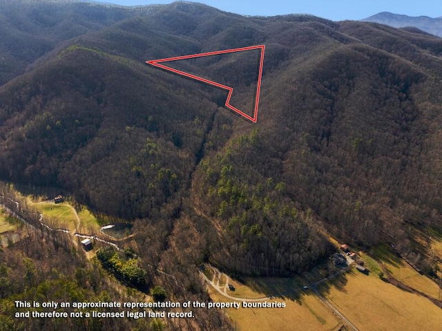3820 Woody Rd, Hartford, TN 37753