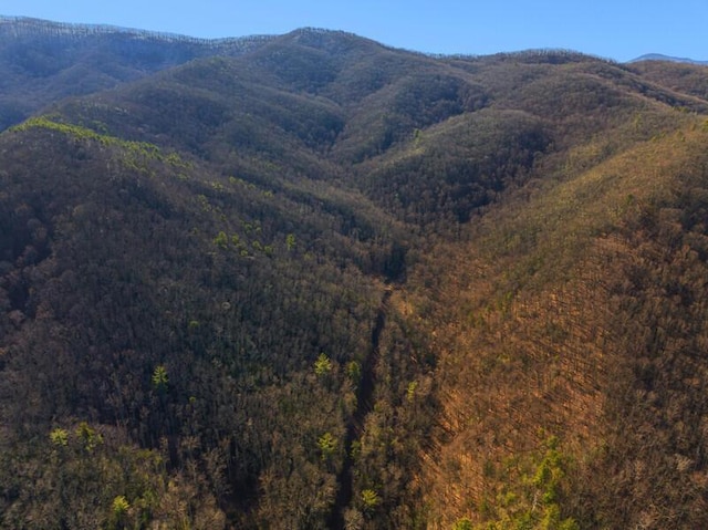3820 Woody Rd, Hartford, TN 37753