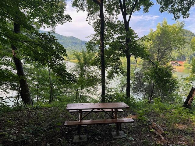 LOT36 5 Oaks Cir, Whitesburg, TN 37891 - photo 3