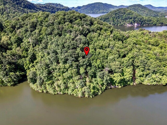 LOT36 5 Oaks Cir, Whitesburg, TN 37891 - photo 14