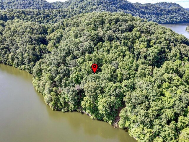 LOT36 5 Oaks Cir, Whitesburg, TN 37891 - photo 13