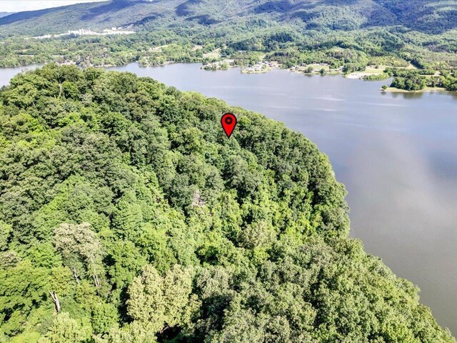 LOT36 5 Oaks Cir, Whitesburg, TN 37891 - photo 17