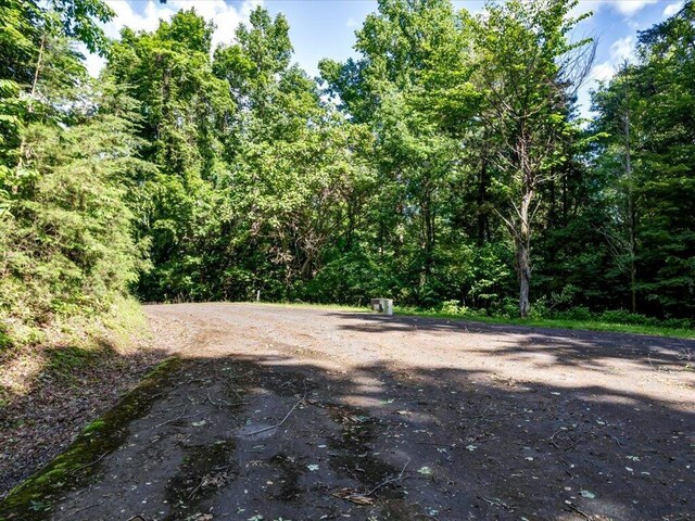 LOT36 5 Oaks Cir, Whitesburg, TN 37891 - photo 9