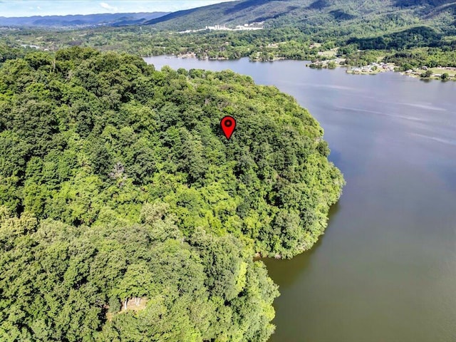 LOT36 5 Oaks Cir, Whitesburg, TN 37891 - photo 16
