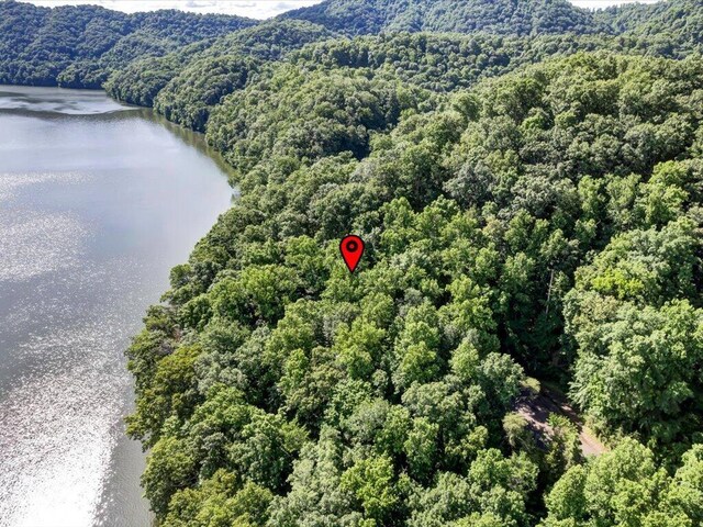 LOT36 5 Oaks Cir, Whitesburg, TN 37891 - photo 12