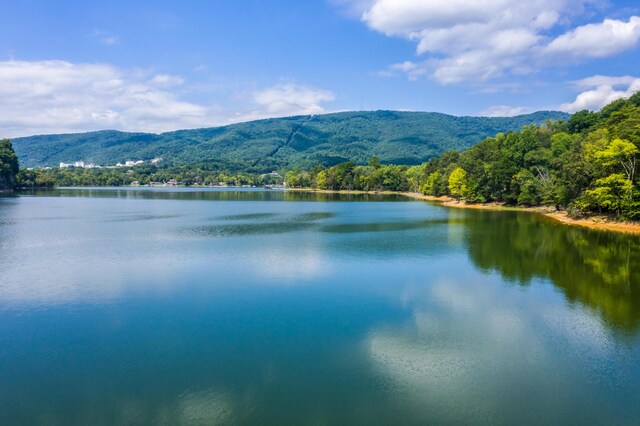 LOT36 5 Oaks Cir, Whitesburg, TN 37891 - photo 26