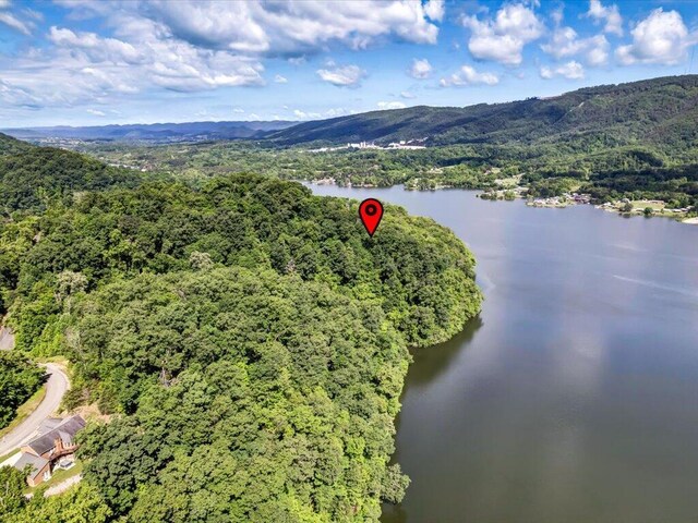 LOT36 5 Oaks Cir, Whitesburg, TN 37891 - photo 4
