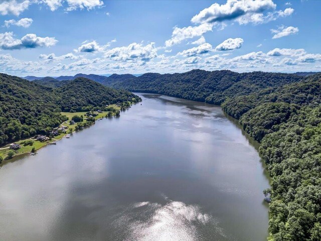 LOT36 5 Oaks Cir, Whitesburg, TN 37891 - photo 6