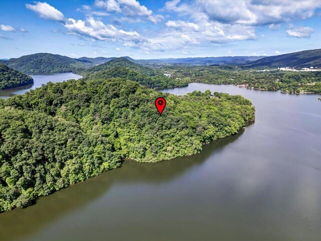 LOT36 5 Oaks Cir, Whitesburg, TN 37891 - photo 8
