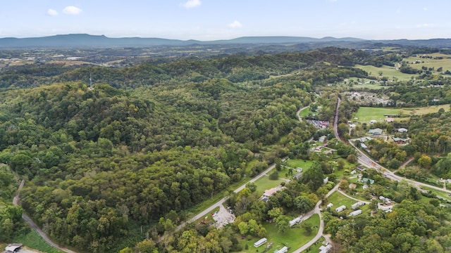 aerial view with a mountain view