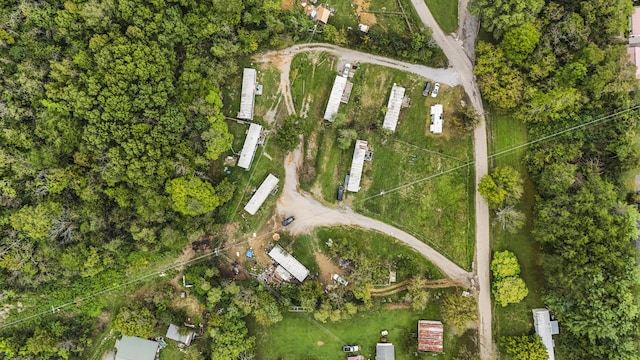 bird's eye view