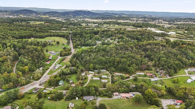 bird's eye view with a mountain view