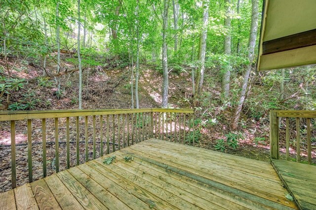 2103 N Tamins Dr, Gatlinburg, TN 37738 - photo 20