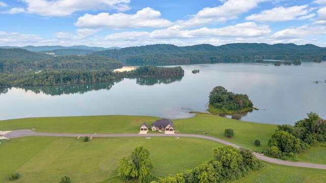 530 Bluewater Way, Bean Station, TN 37708 - photo 68