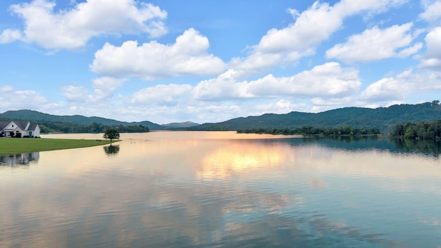 530 Bluewater Way, Bean Station, TN 37708 - photo 75