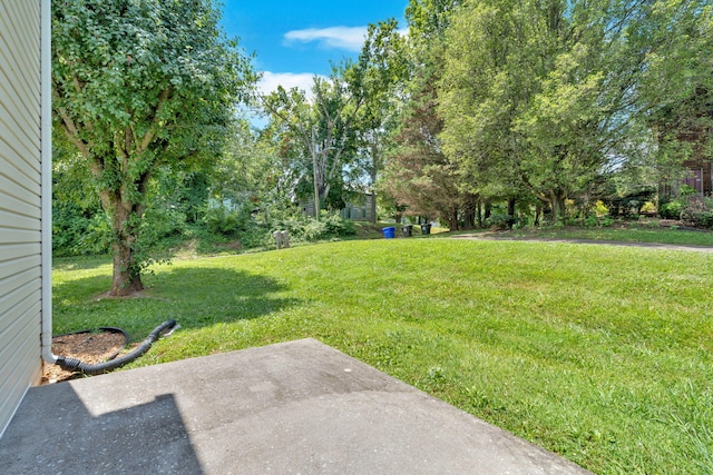 711 Panther Creek Ct, Morristown, TN 37814 - photo 10