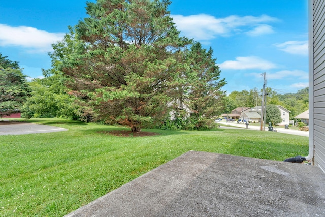 711 Panther Creek Ct, Morristown, TN 37814 - photo 33