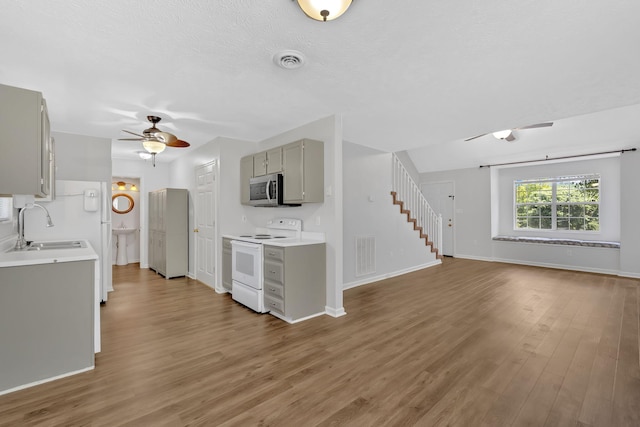711 Panther Creek Ct, Morristown, TN 37814 - photo 13