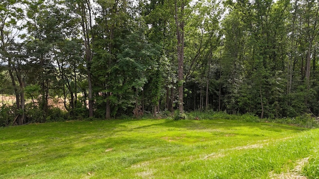 553 Sequoyah Dr, Morristown, TN 37813 - view of yard with a forest view