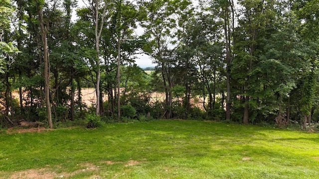 553 Sequoyah Dr, Morristown, TN 37813 - view of green lawn