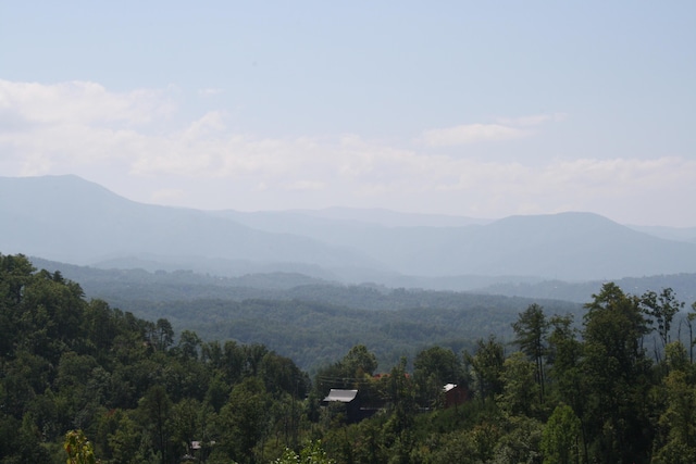 view of mountain feature