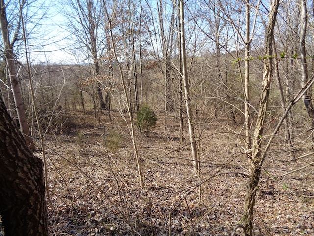 0 Holston River Dr, Rutledge TN, 37861 land for sale