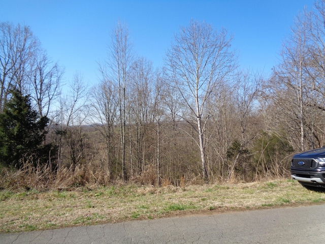 Listing photo 2 for 0 Holston River Dr, Rutledge TN 37861