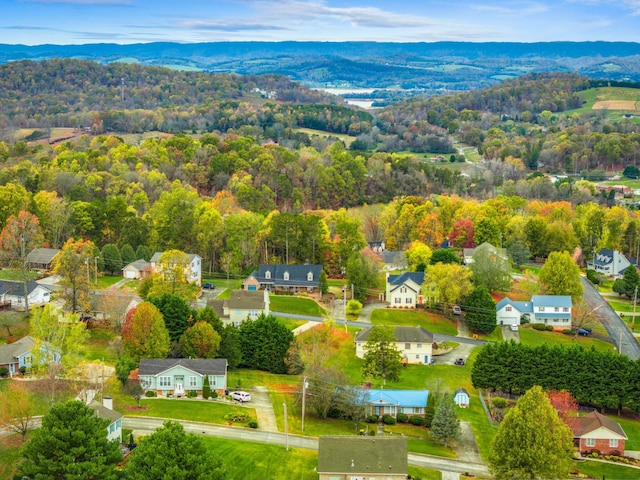 drone / aerial view