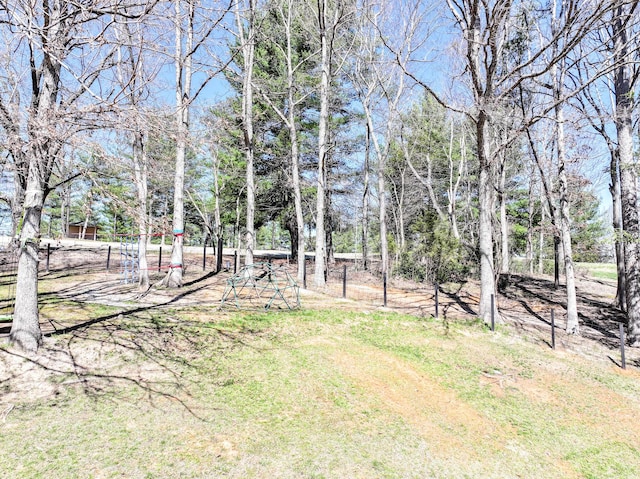 45 Link Hills Cir, Greeneville, TN 37743 - view of yard