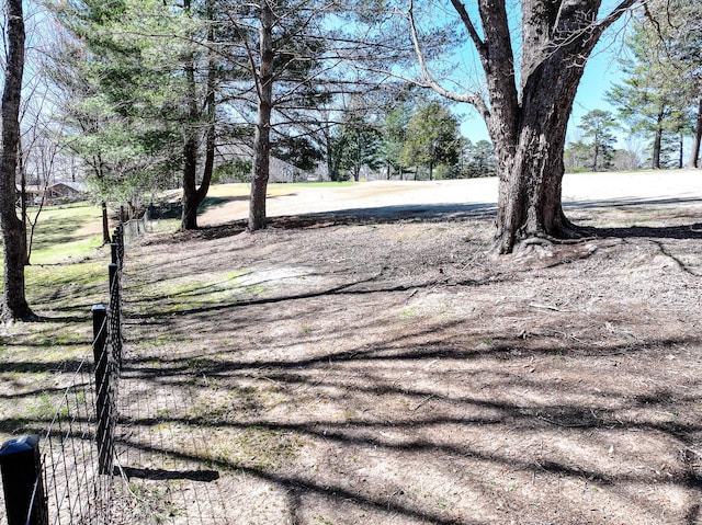 45 Link Hills Cir, Greeneville, TN 37743 - view of yard